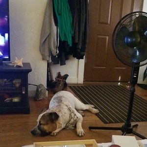 Meet your Posher, Mrs. connie